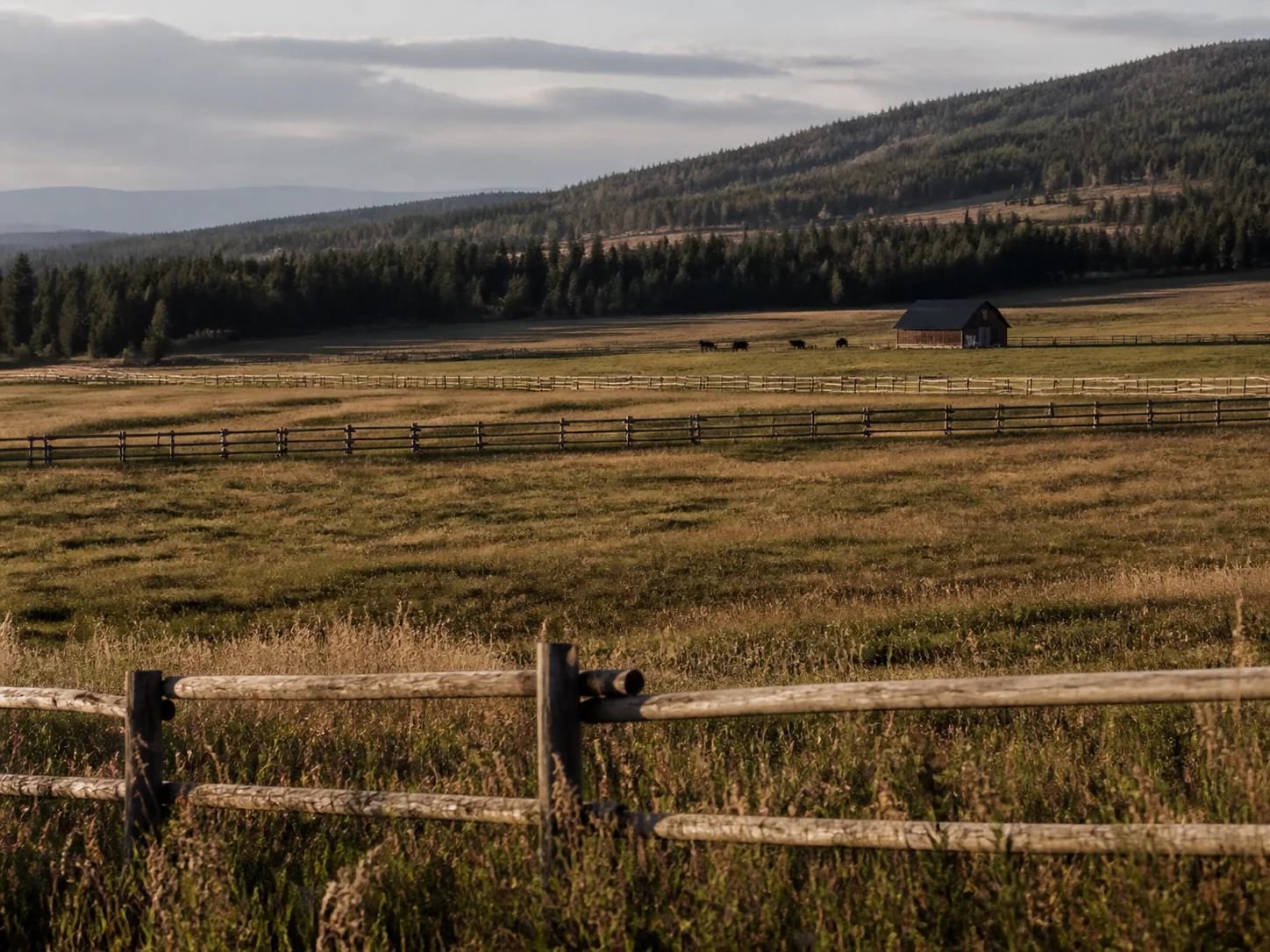 Open pasture on a working ranch